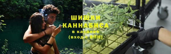 мескалин Богородицк
