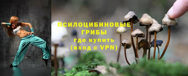 мескалин Богородицк