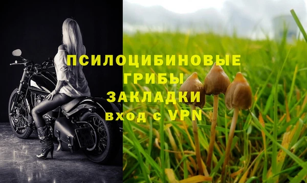 шишки Заволжск