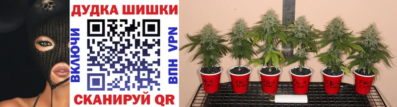 Марихуана конопля Бузулук